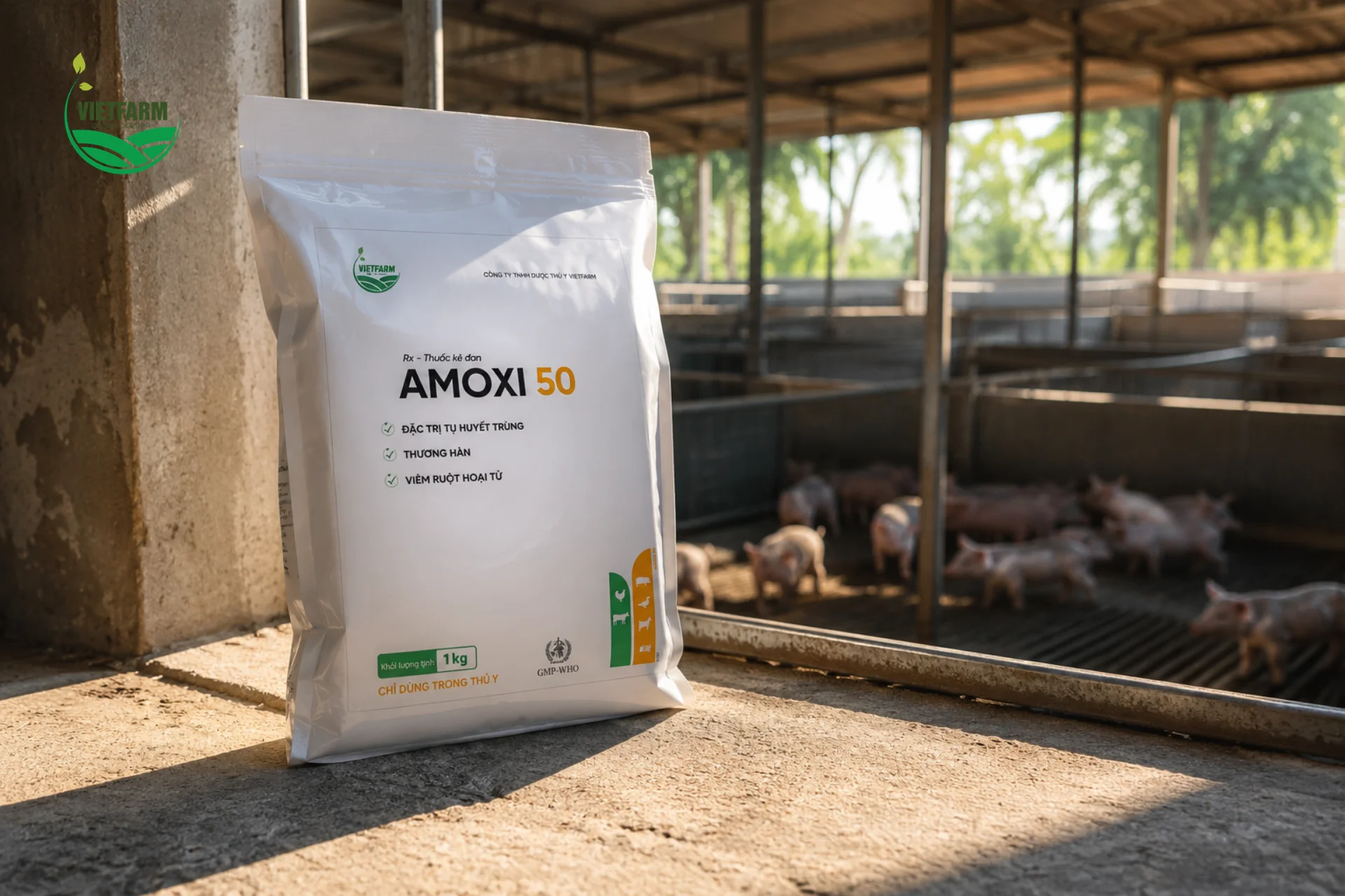Amoxi 50 thường được chuẩn bị sẵn ngay tại khu chuồng cai sữa để can thiệp kịp thời khi đàn heo con vừa chuyển chuồng.