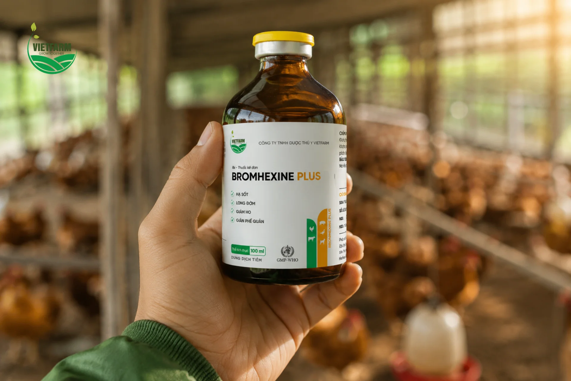 Bromhexin Plus đóng lọ tiêm, gộp sẵn hai hoạt chất hạ sốt và long đờm — bà con không cần pha trộn hay tính toán tỷ lệ hai loại thuốc riêng.

