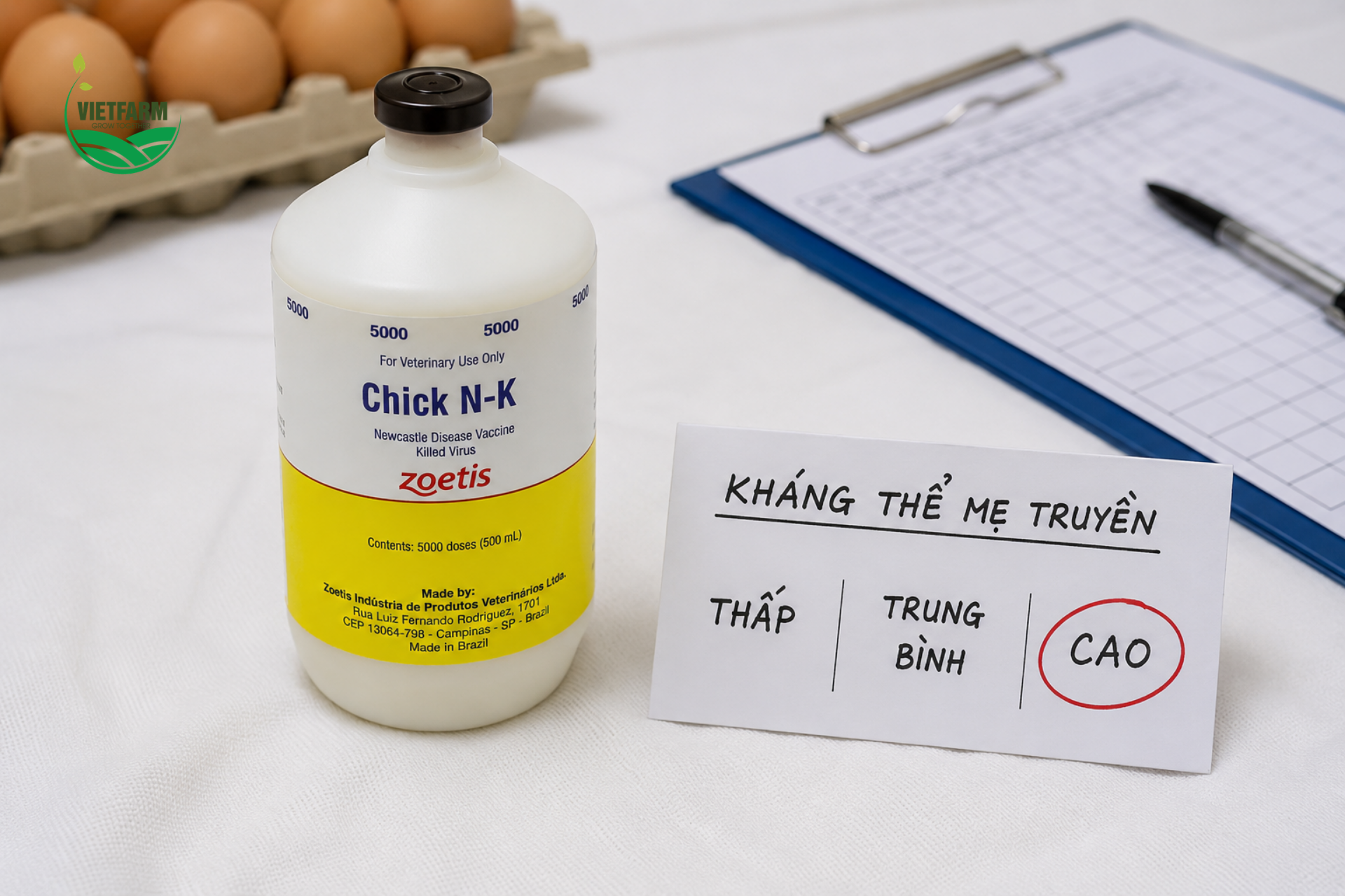 Vaccine vô hoạt cho gà con thường được cân nhắc khi đàn có mức kháng thể mẹ truyền cao không đồng đều — tình huống mà vaccine sống đơn thuần có thể chưa đủ đảm bảo bảo hộ toàn diện cho cả đàn.