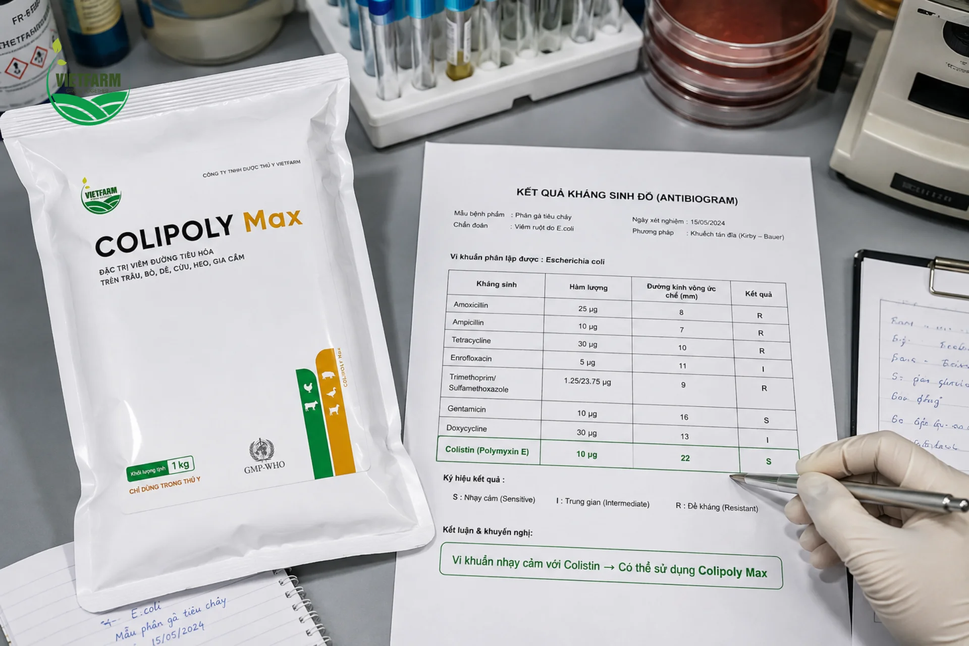 Lựa chọn Colipoly Max dựa trên kết quả kháng sinh đồ giúp xác định chính xác vi khuẩn còn nhạy cảm với Colistin trước khi điều trị đại trà cho cả đàn.
