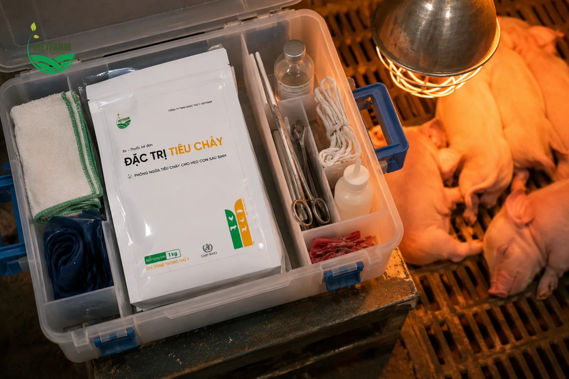 Đặc trị tiêu chảy nên được đặt sẵn trong hộp dụng cụ chuồng đẻ để can thiệp ngay khi phát hiện heo con có dấu hiệu tiêu chảy đầu tiên.