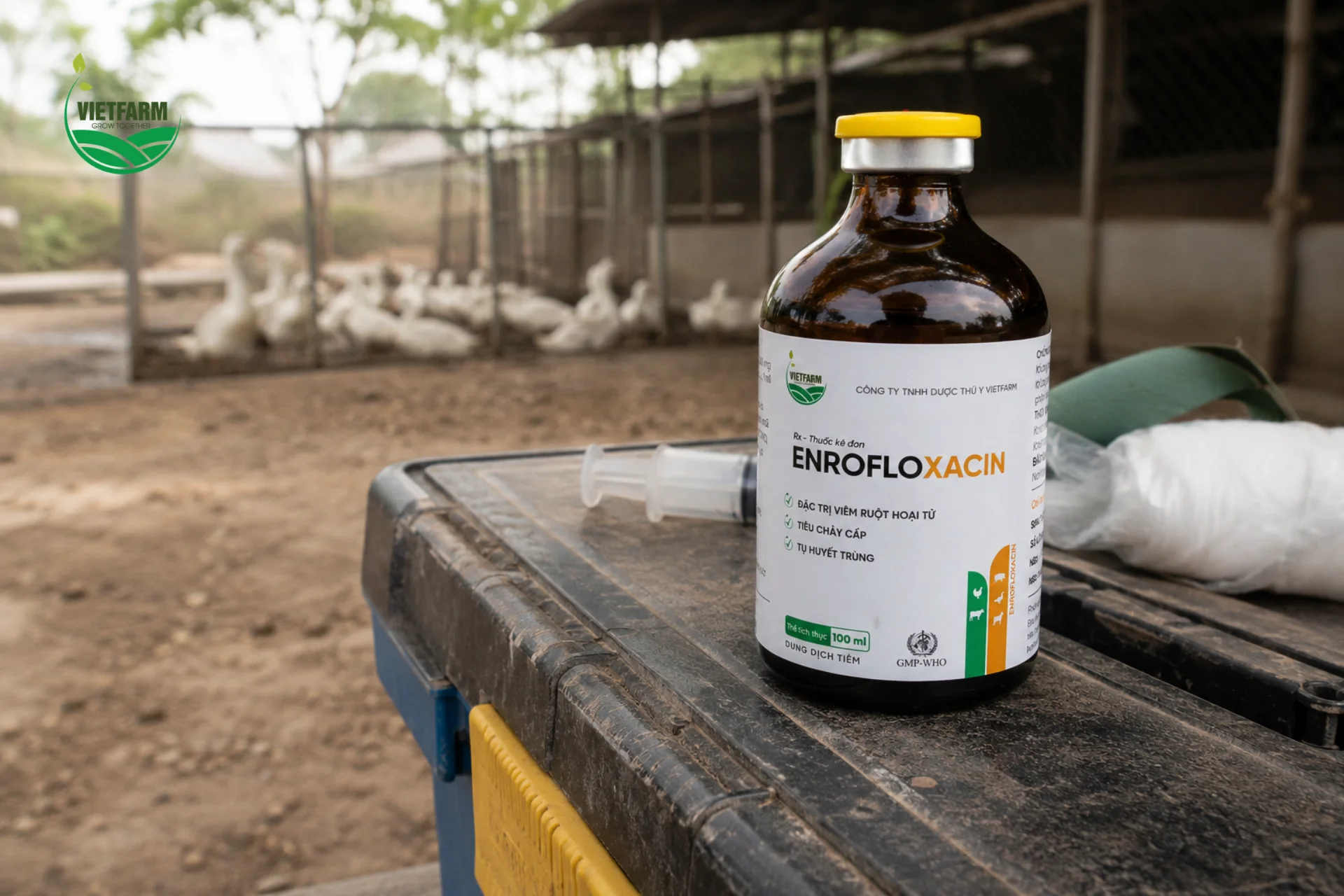 Enrofloxacin đóng lọ tiêm nồng độ cao, phổ tác động rộng giúp một loại thuốc xử lý được nhiều tác nhân khác nhau trong ca bệnh hỗn hợp.

