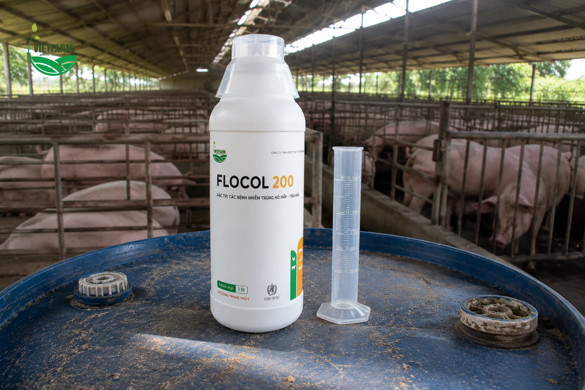 Flocol 200 dạng dung dịch uống, đong đúng liều bằng ml trước khi pha vào nước uống hoặc trộn thức ăn.