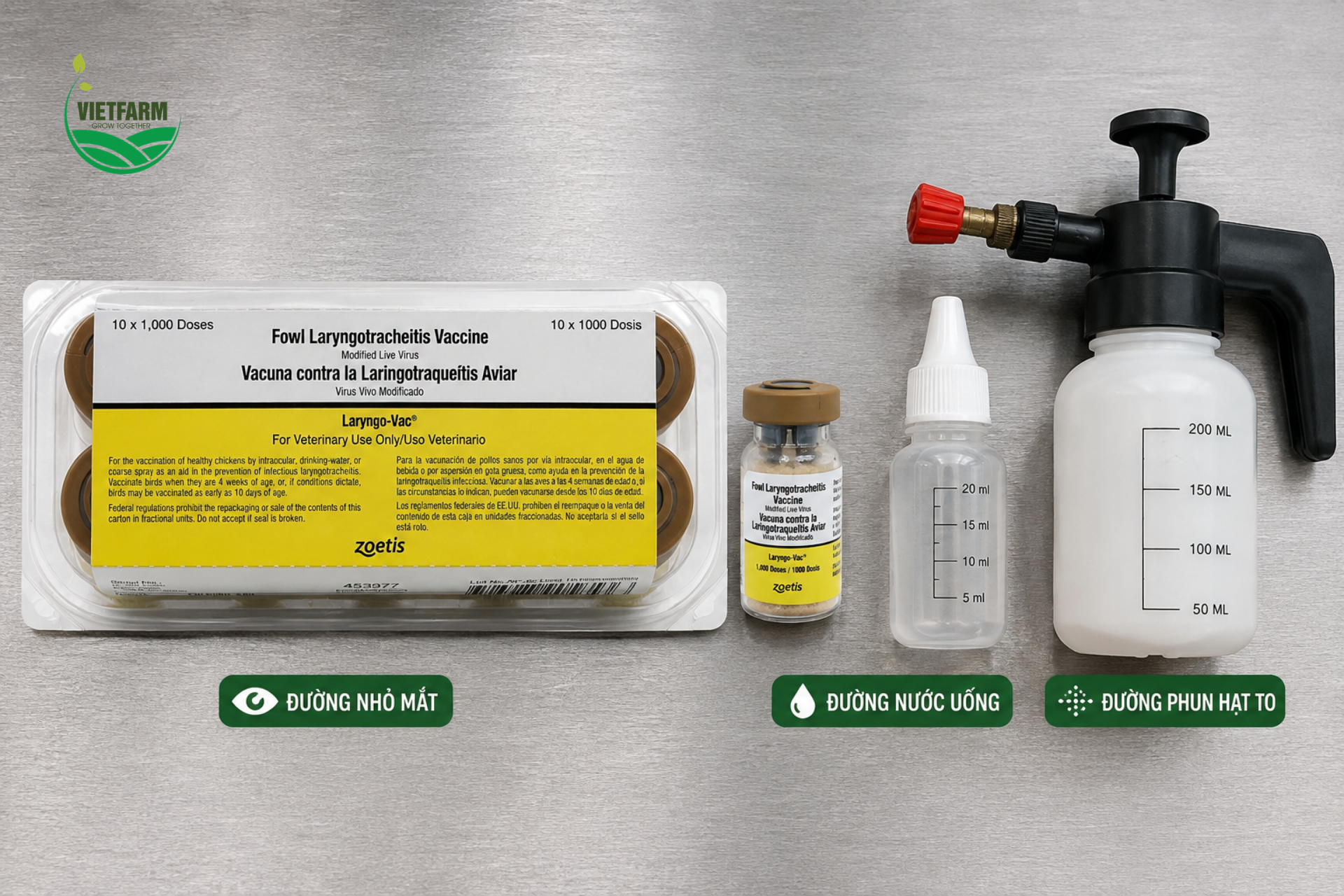 Laryngo-Vac linh hoạt với ba đường dùng — nhỏ mắt, nước uống và phun sương hạt to — giúp bà con lựa chọn phương pháp phù hợp nhất với quy mô đàn của trại.