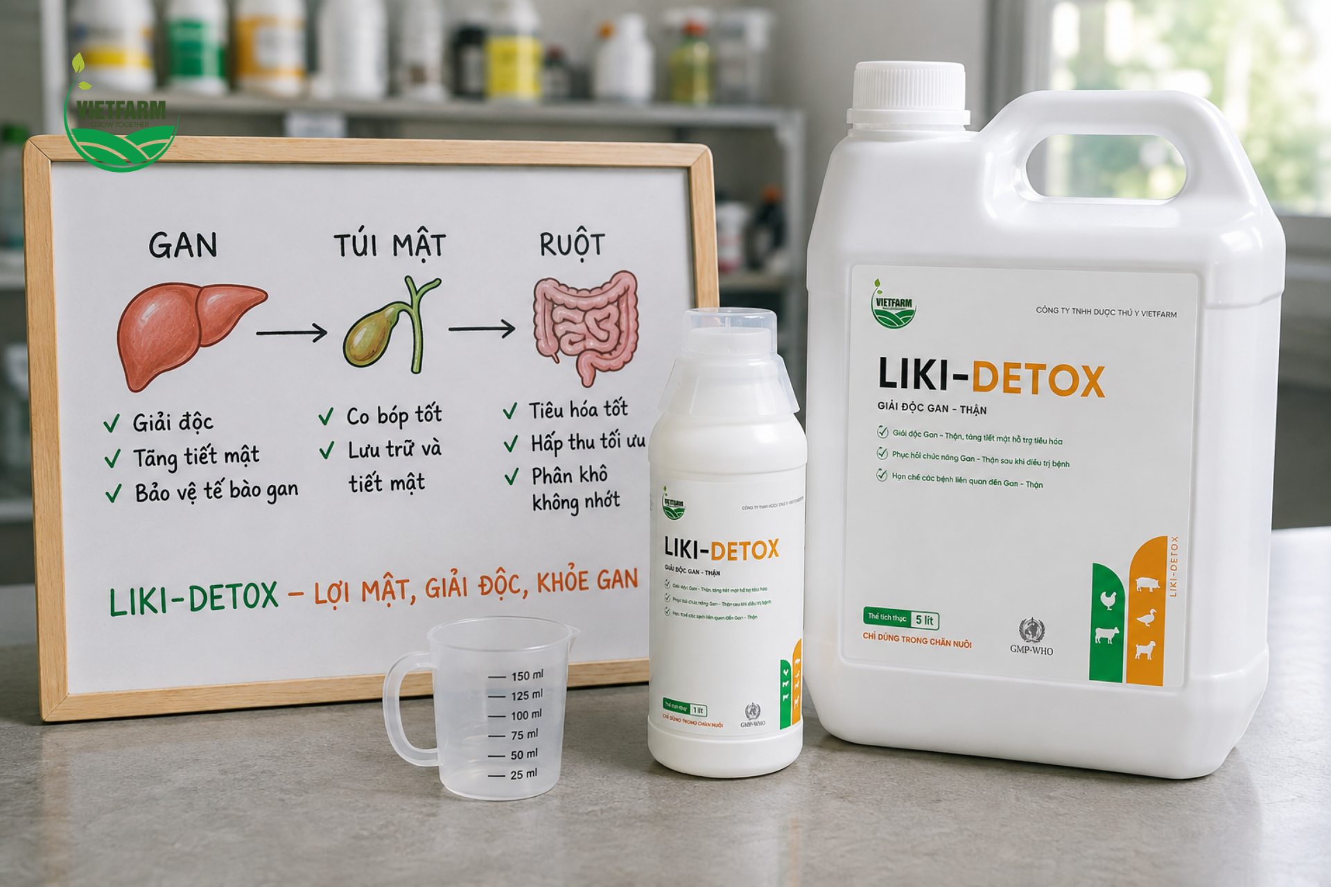 Liki-Detox tác động trực tiếp vào chu trình tiết mật tự nhiên — từ gan qua túi mật đến ruột — giúp quá trình tiêu hóa và đào thải độc tố diễn ra thuận lợi hơn.