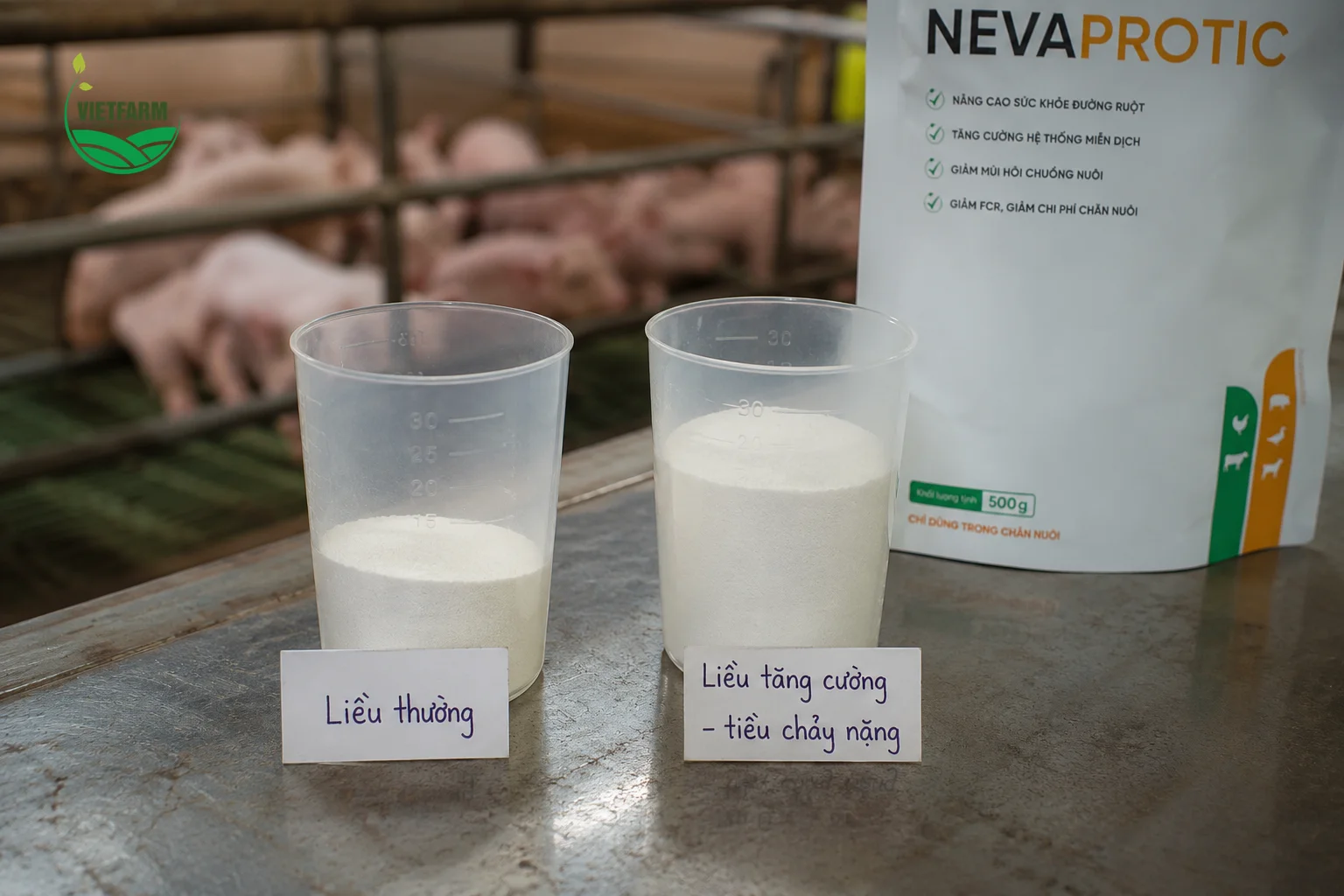 Nevaprotic cho phép tăng liều gấp đôi ngay khi phát hiện dấu hiệu tiêu chảy nặng trong đàn — sự linh hoạt này giúp bà con ứng phó kịp thời mà không cần chờ đổi sang sản phẩm khác.