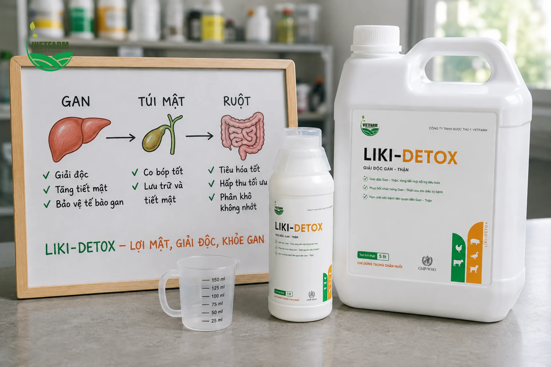 Liki-Detox tác động trực tiếp vào chu trình tiết mật tự nhiên — từ gan qua túi mật đến ruột — giúp quá trình tiêu hóa và đào thải độc tố diễn ra thuận lợi hơn.