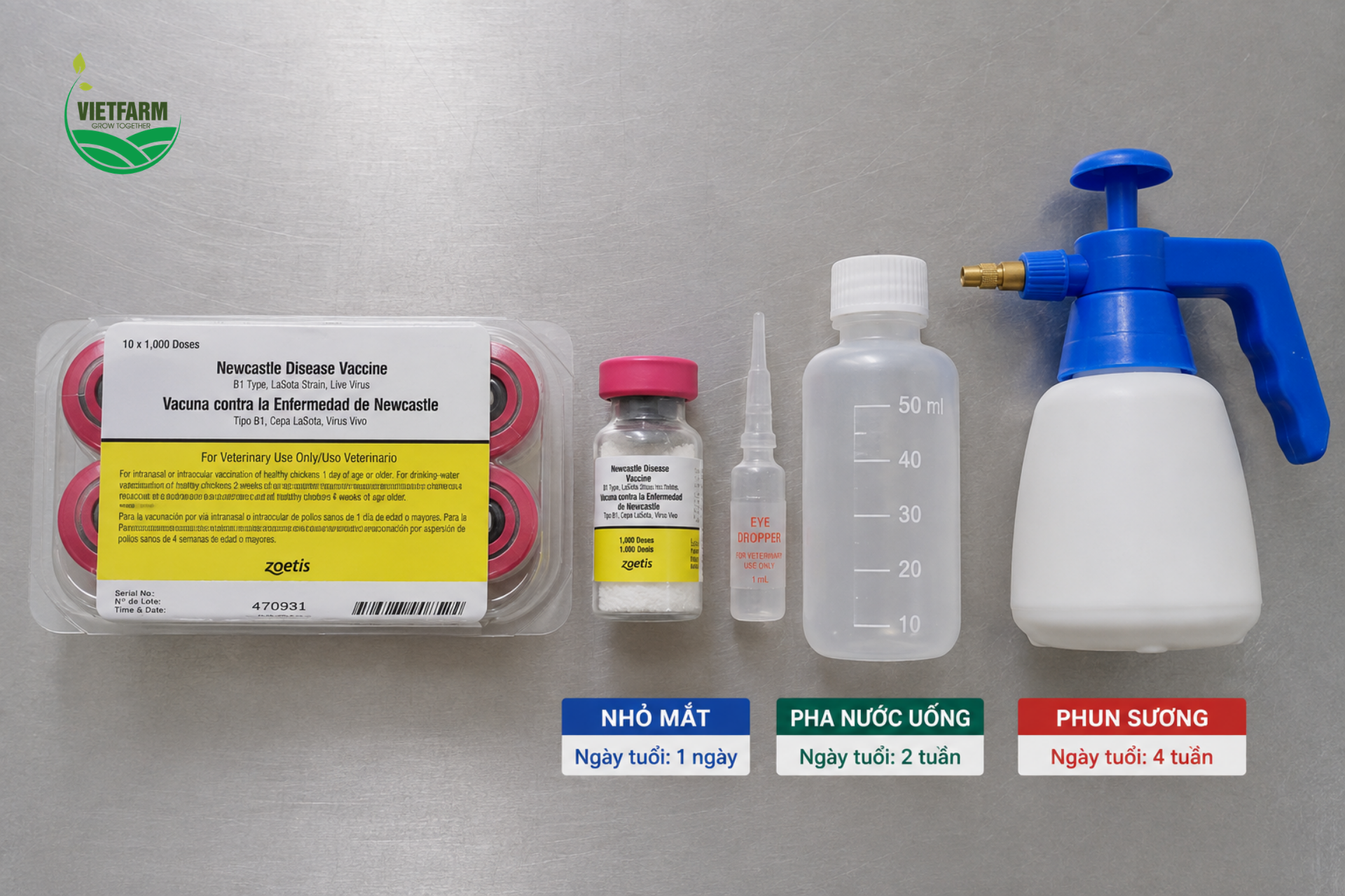 Vaccine Newcastle LaSota linh hoạt với ba đường dùng khác nhau tùy theo giai đoạn tuổi của gà — nhỏ mắt/mũi, pha nước uống và phun sương.