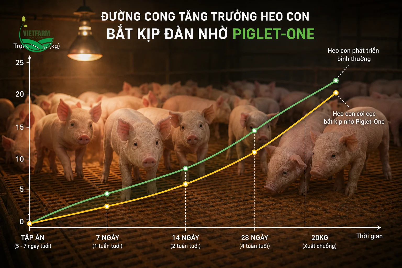 Piglet-One tập trung vào giai đoạn tập ăn — thời điểm quyết định heo con còi cọc có thể thu hẹp khoảng cách với đàn trước khi bước vào giai đoạn nuôi thịt.