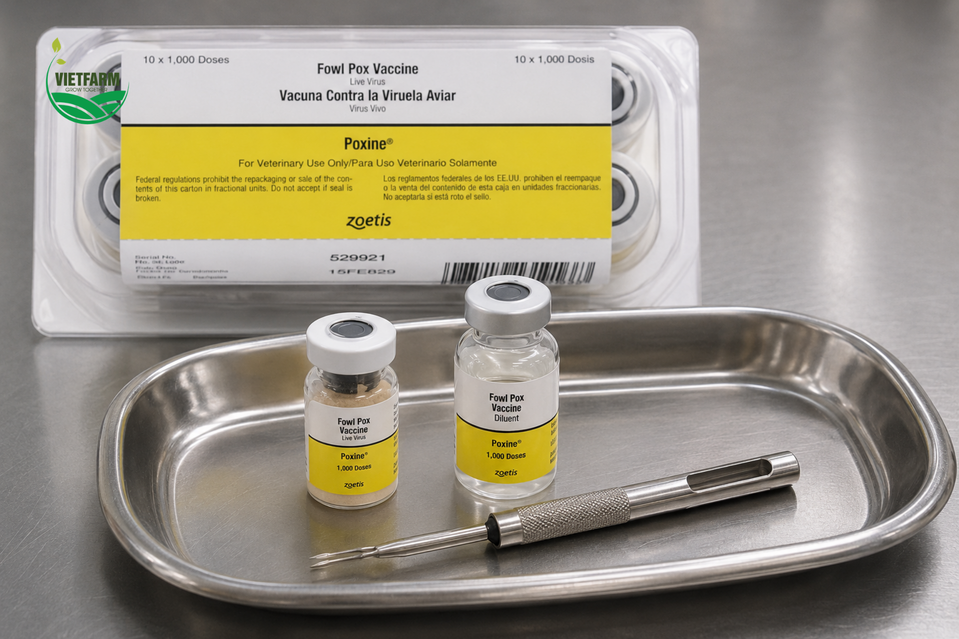 Poxine đi kèm nước pha chuyên biệt và cần dùng kim chủng đậu chuyên dụng — hoàn toàn khác với kim tiêm thông thường — để đảm bảo đưa đúng lượng vaccine vào lớp da mỏng của cánh gà.