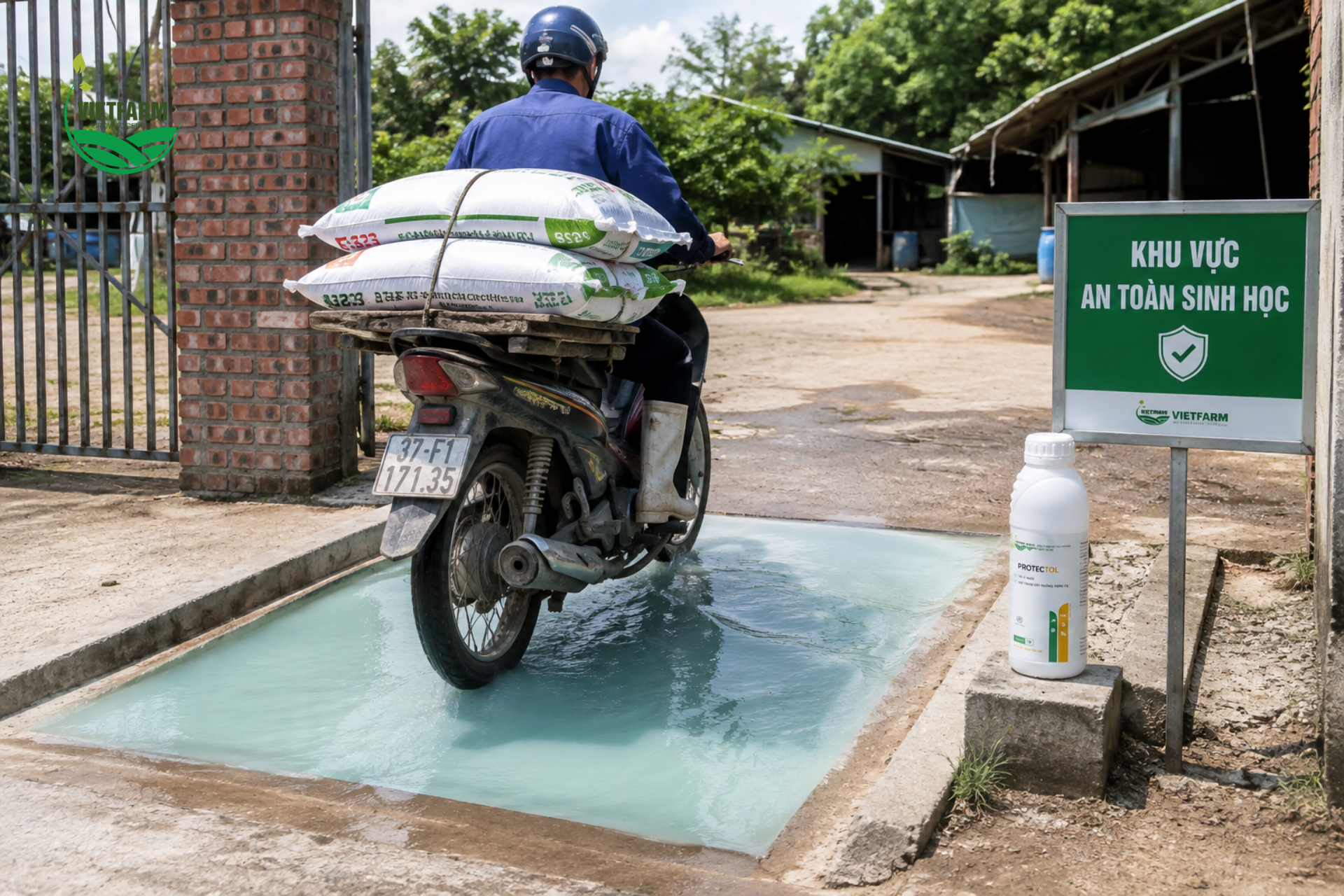 Protectol pha vào hố sát trùng tại cổng trại tạo lớp phòng thủ đầu tiên, ngăn mầm bệnh theo bánh xe, giày dép xâm nhập vào khu vực chăn nuôi.