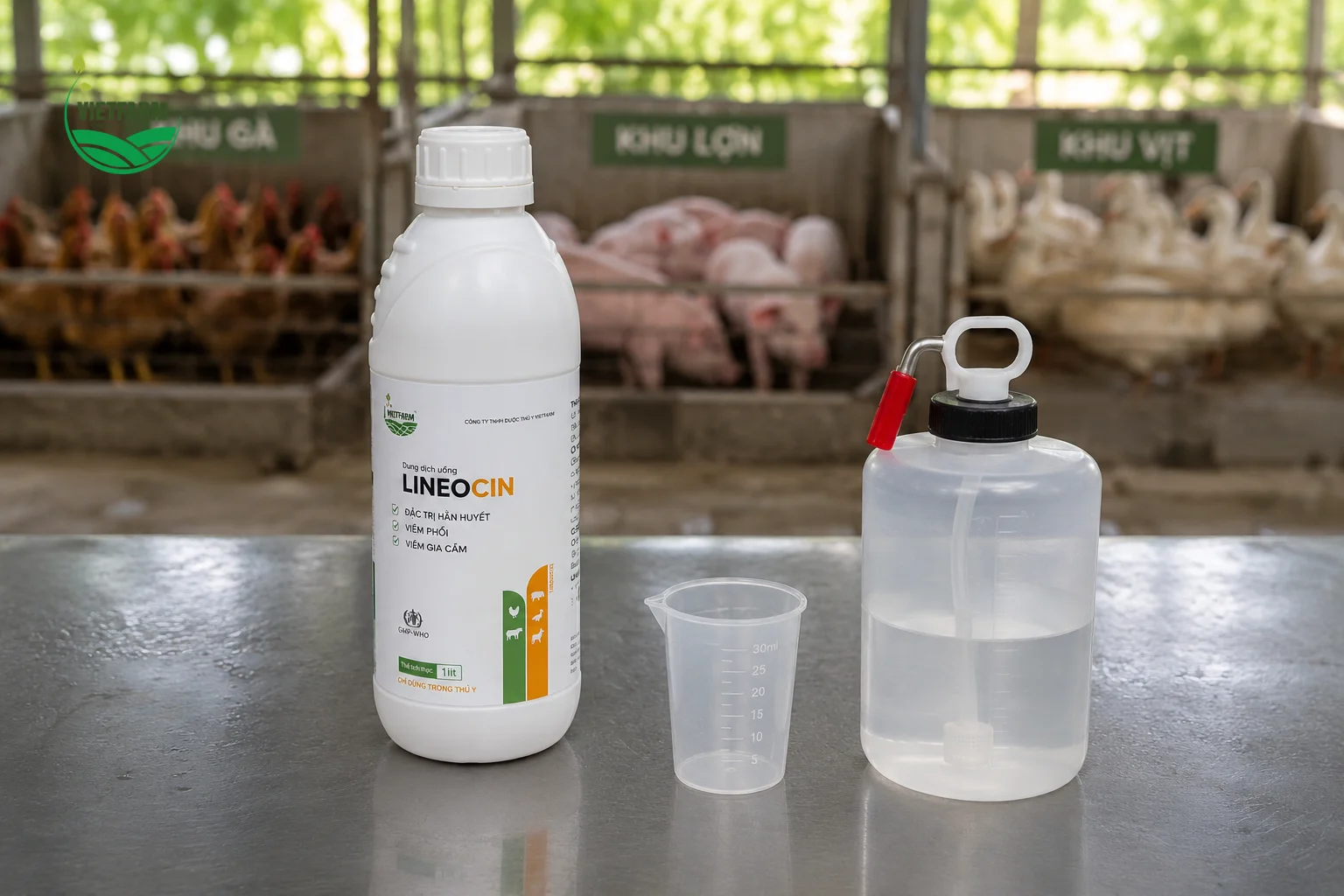 Lineocin dạng dung dịch uống dễ pha vào nước hoặc trộn vào thức ăn, thuận tiện áp dụng đồng loạt cho cả đàn mà không cần thao tác kỹ thuật phức tạp.
