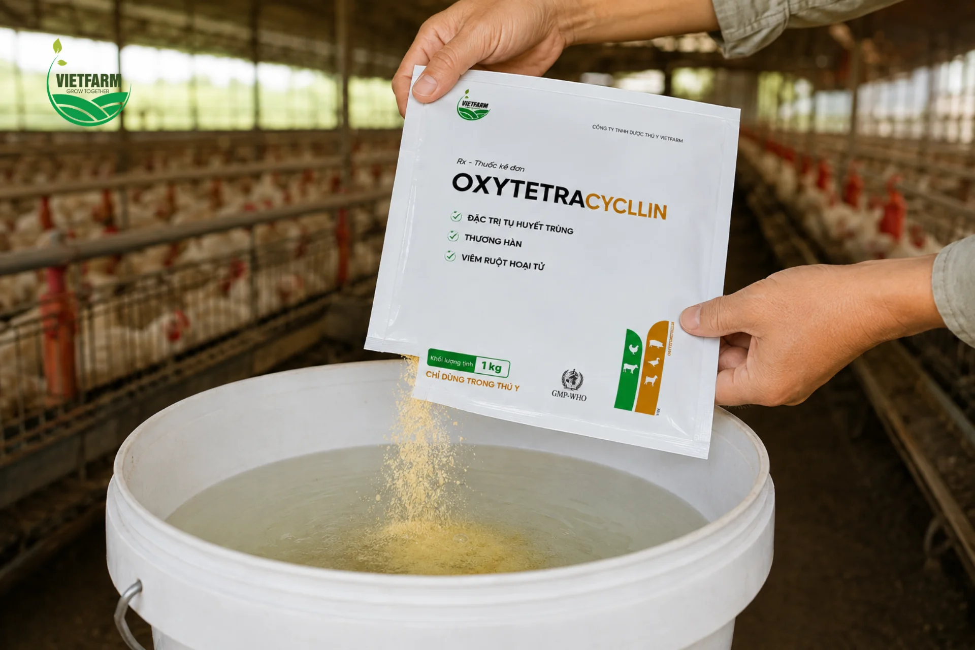 Bà con pha đúng tỷ lệ 1g/6-8 lít nước theo khuyến cáo, tránh pha loãng hoặc đặc hơn liều cần thiết.