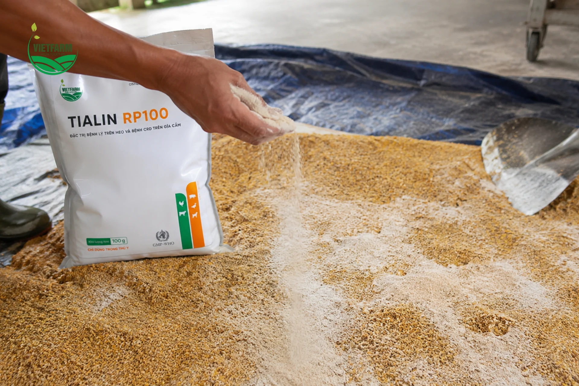 Rắc đều premix lên lớp cám mỏng trước khi trộn kỹ giúp thuốc phân bố đồng đều trong toàn bộ mẻ cám, tránh tình trạng con ăn nhiều thuốc, con ăn ít.