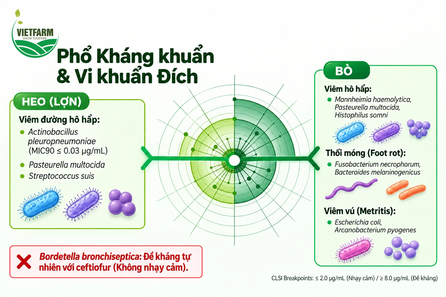 Phổ kháng khuẩn của Ceftiofur bao gồm các vi khuẩn hô hấp chính trên heo và các vi khuẩn gây bệnh hô hấp, thối móng, viêm tử cung trên bò.